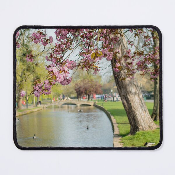 Item preview, Spring blossom in Bourton-on-the-Water designed and sold by cdkphotos.