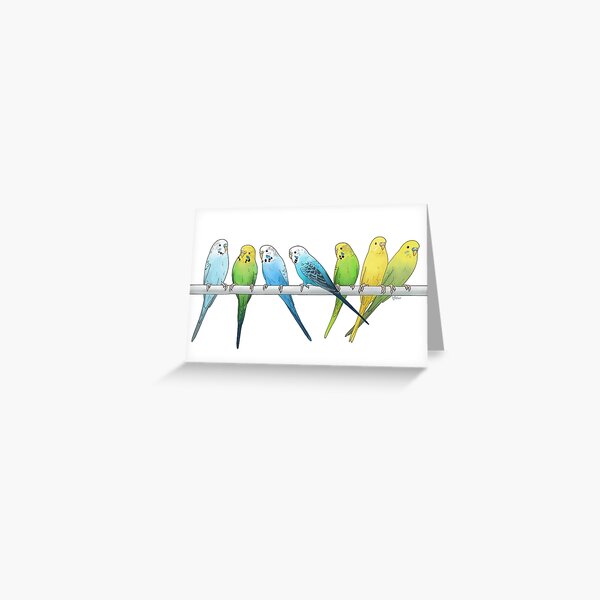 Budgies Greeting Card