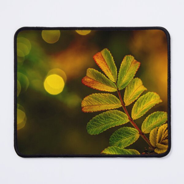 Item preview, Autumn leaves 10 designed and sold by Veikko  Suikkanen.