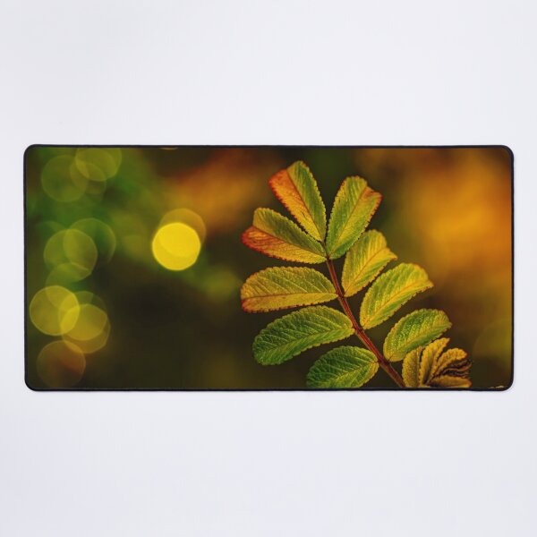 Item preview, Autumn leaves 10 designed and sold by Veikko  Suikkanen.