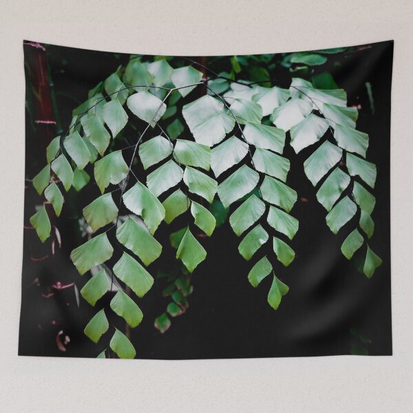 Item preview, Shinjuku Gyoen: Diamond Maidenhair designed and sold by Chancelrie.