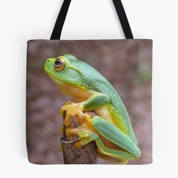 Artikelvorschau, Tree Frog entworfen und verkauft von elsha.