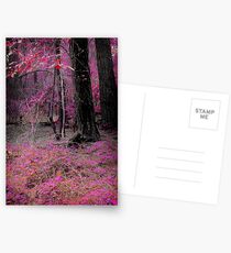 Arboretum Postcards