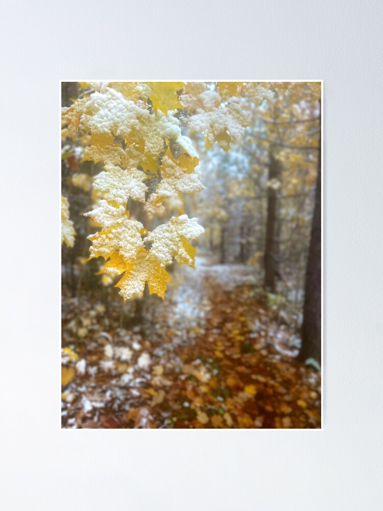 Thumbnail 1 of 3, Poster, First Fall designed and sold by Beardeaux.