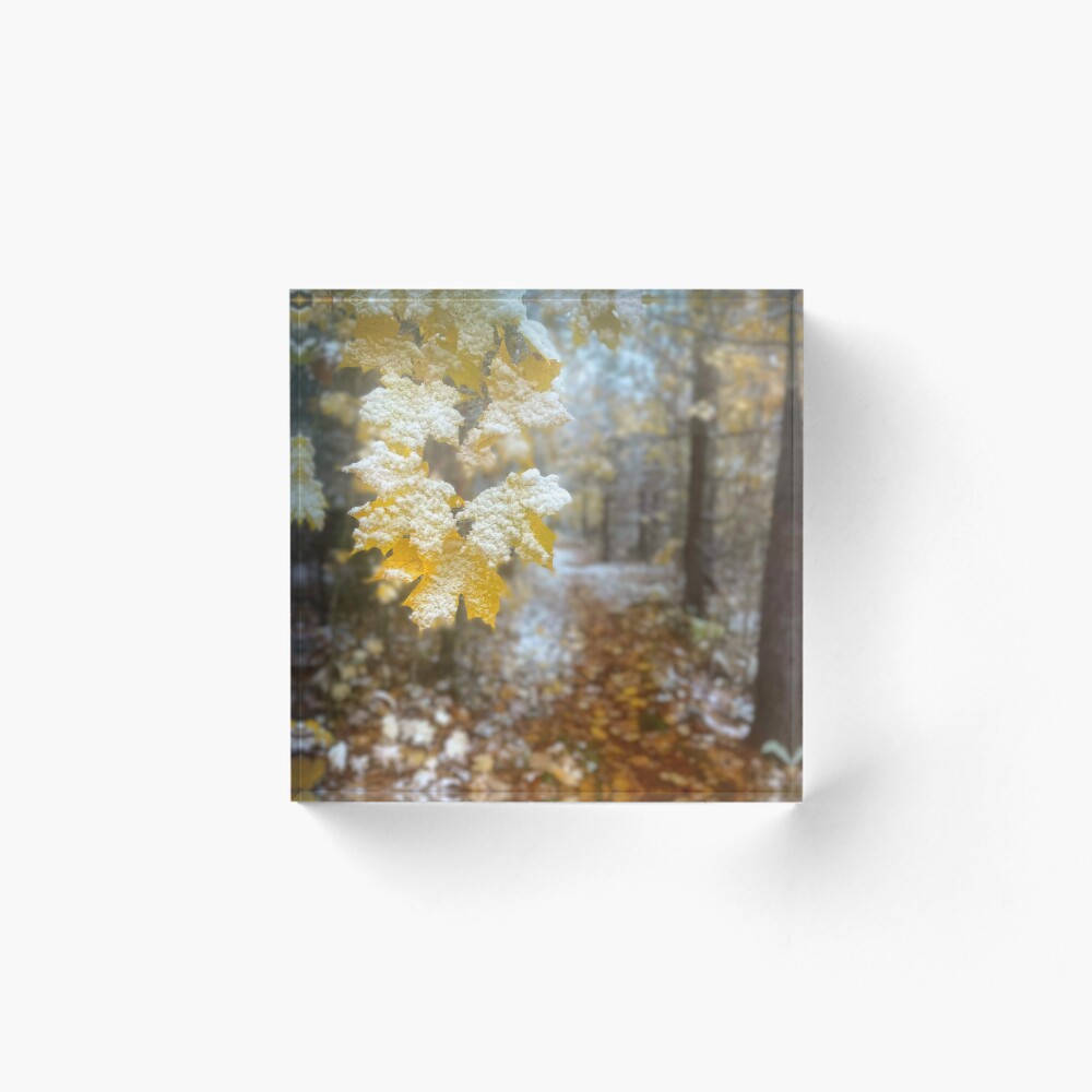 Item preview, Acrylic Block designed and sold by Beardeaux.