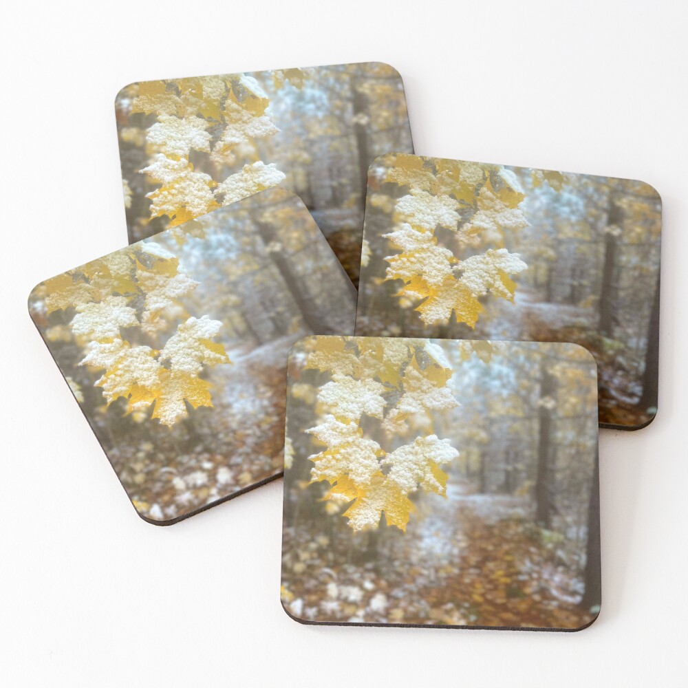 Item preview, Coasters (Set of 4) designed and sold by Beardeaux.