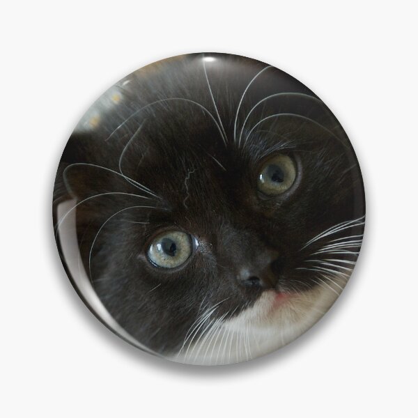 Item preview, Hello - Who Are You? designed and sold by Paul-Berry.