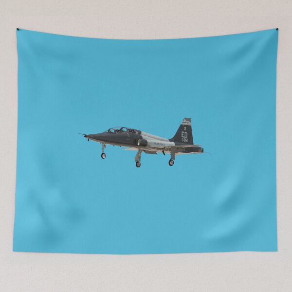 Aperçu de l'œuvre Talon T-38C créée et vendue par sibosssr.