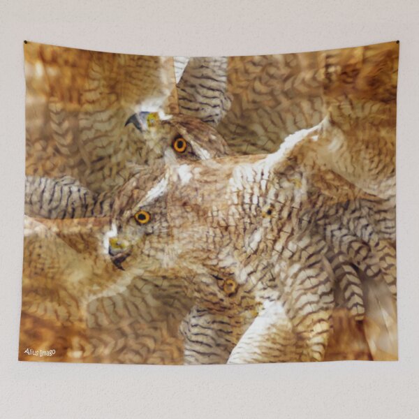 Item preview, Designs Inspired By Nature: Northern Goshawk designed and sold by Alius Imago.