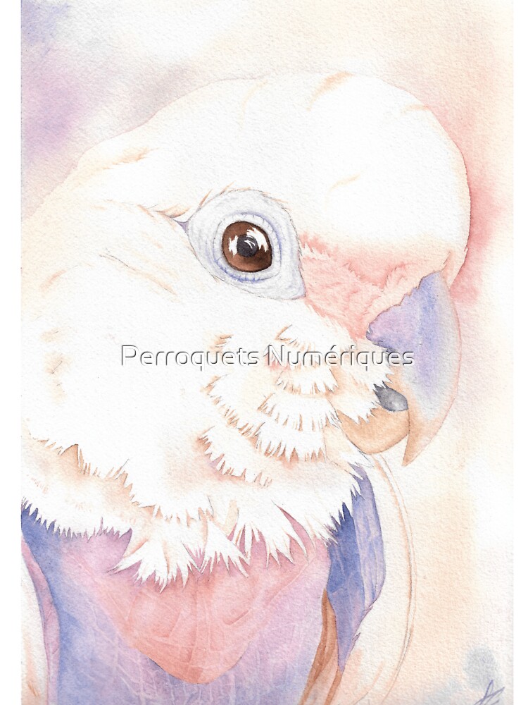 Parrot Watercolor T-Shirt