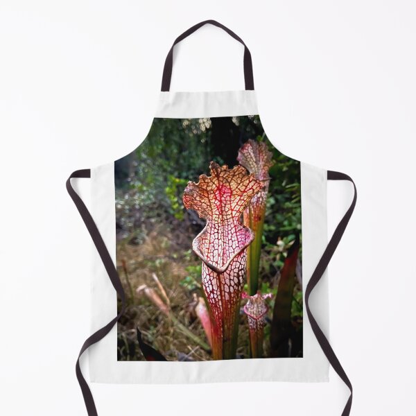 Item preview, To Feed designed and sold by Jason Tompkins.