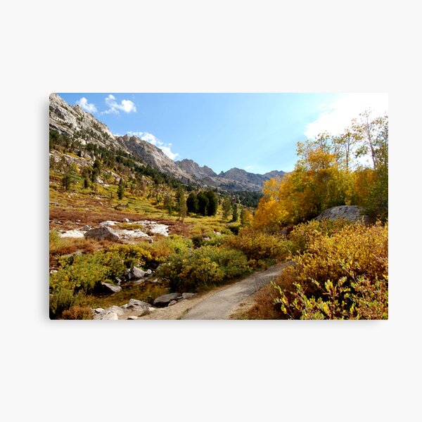 Canyon Pathway Canvas Print