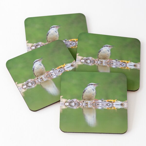 Item preview, Juvenile nuthatch designed and sold by GreyFeatherPhot.