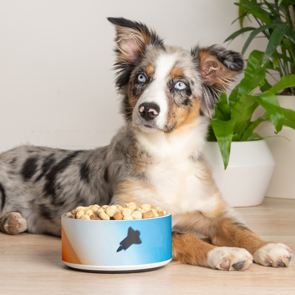 Item preview, Pet Bowl designed and sold by PrMoonlessNight.