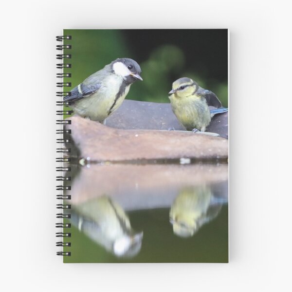 Item preview, Baby bird reflections designed and sold by GreyFeatherPhot.