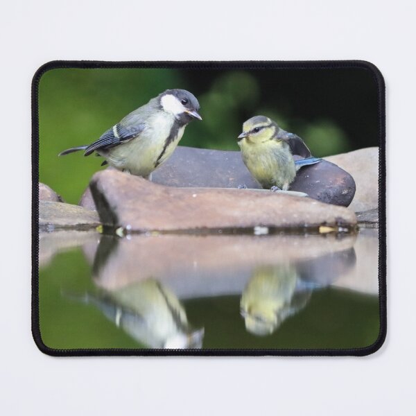 Item preview, Baby bird reflections designed and sold by GreyFeatherPhot.