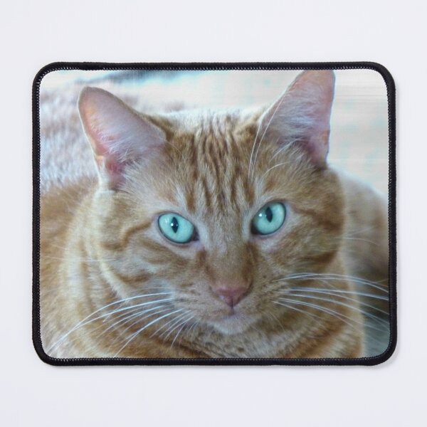 Item preview, Frankie designed and sold by Frankie Cat Photography.