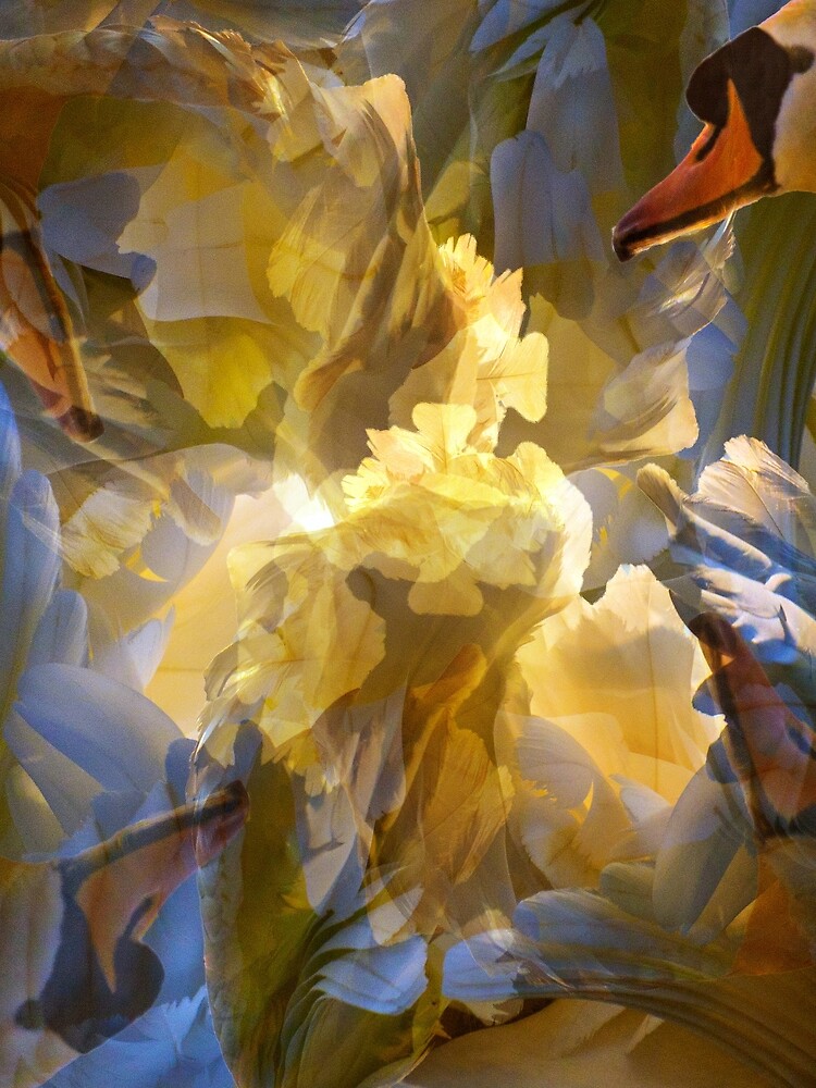 Designs Inspired By Nature: Wild Swan by AliusImago