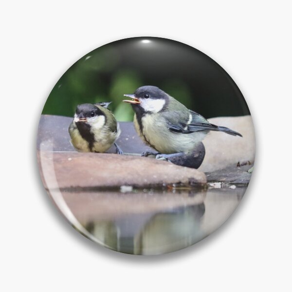 Item preview, Great tit fledglings designed and sold by GreyFeatherPhot.