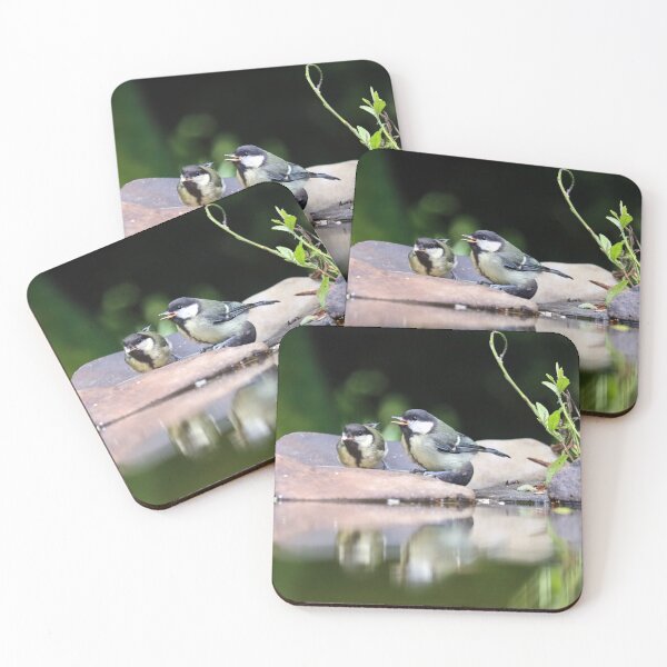 Item preview, Great tit fledglings designed and sold by GreyFeatherPhot.