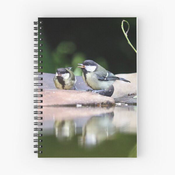 Item preview, Great tit fledglings designed and sold by GreyFeatherPhot.