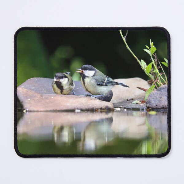 Item preview, Great tit fledglings designed and sold by GreyFeatherPhot.