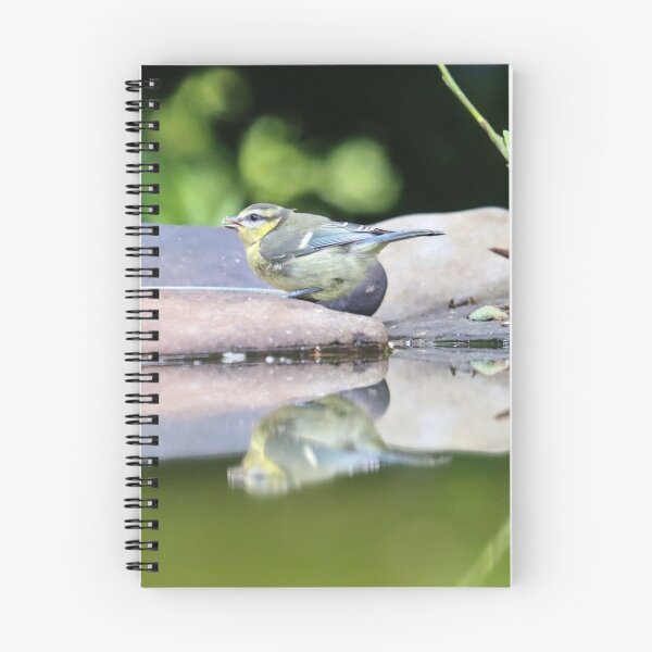 Item preview, Blue tit fledgling and it's reflection designed and sold by GreyFeatherPhot.