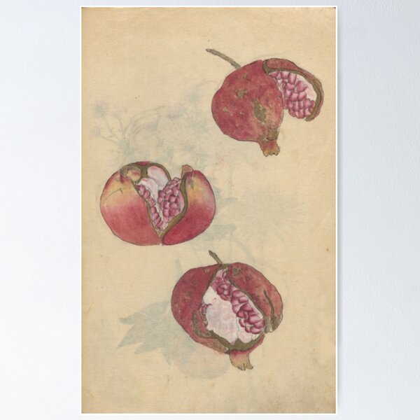 Item preview, Pomegranates designed and sold by BlueSpecsStudio.