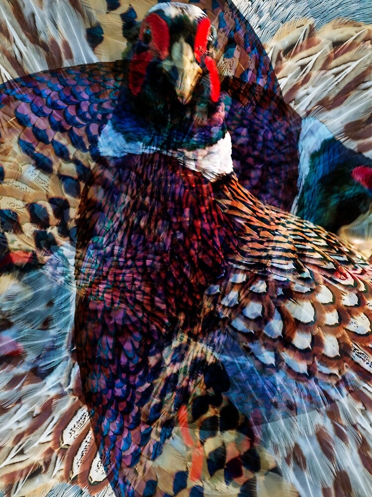 Designs Inspired By Nature: Wild Pheasant by AliusImago
