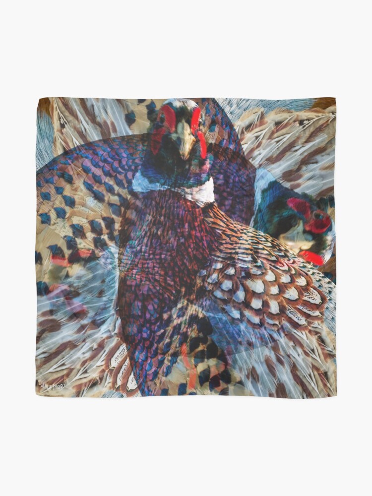 Alternate view of Designs Inspired By Nature: Wild Pheasant Scarf