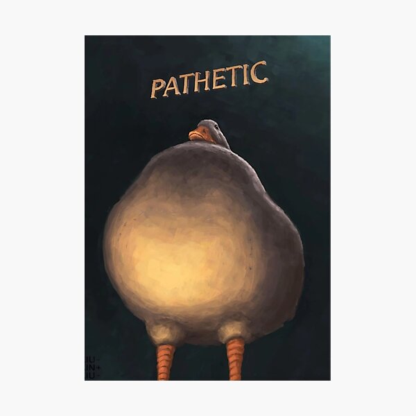 duck pathetic  Photographic Print