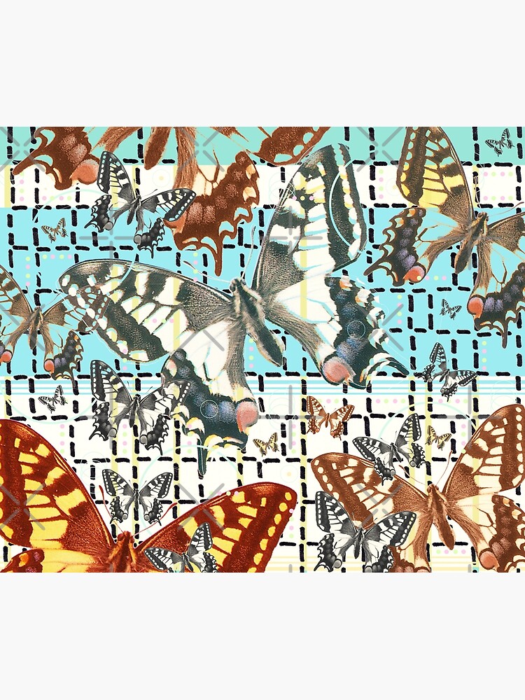 Schwalbenschwanz Schmetterling von Mauswohn