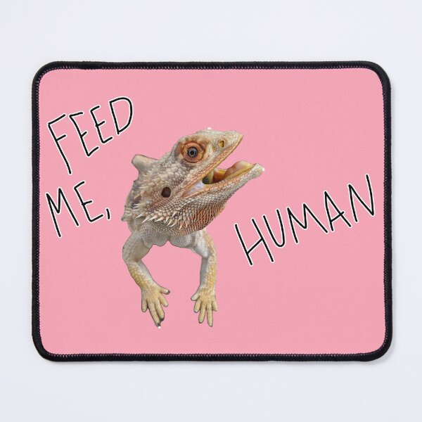 Item preview, Feed the Bearded Dragon designed and sold by ForgsRUs.