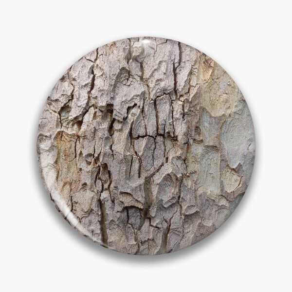 Item preview, Sycamore Tree Aging designed and sold by Treebarkart.