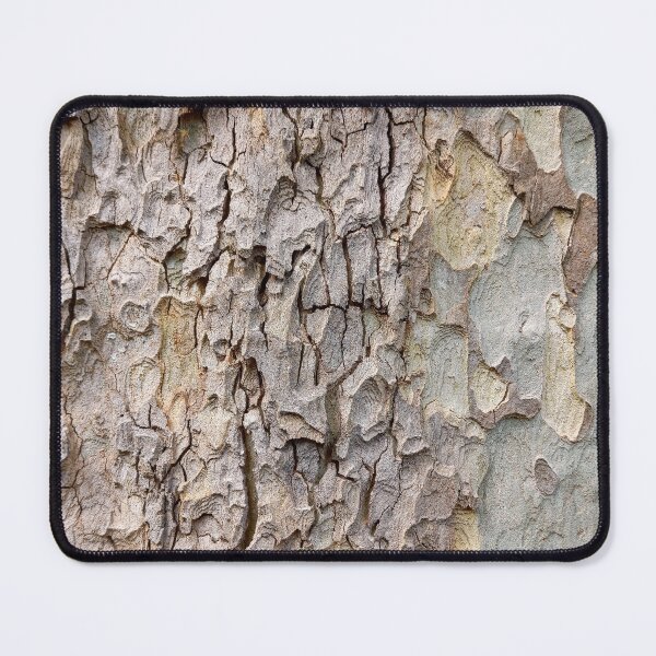 Item preview, Sycamore Tree Aging designed and sold by Treebarkart.