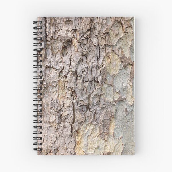 Item preview, Sycamore Tree Aging designed and sold by Treebarkart.