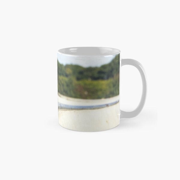 Down The Skatepark Classic Mug