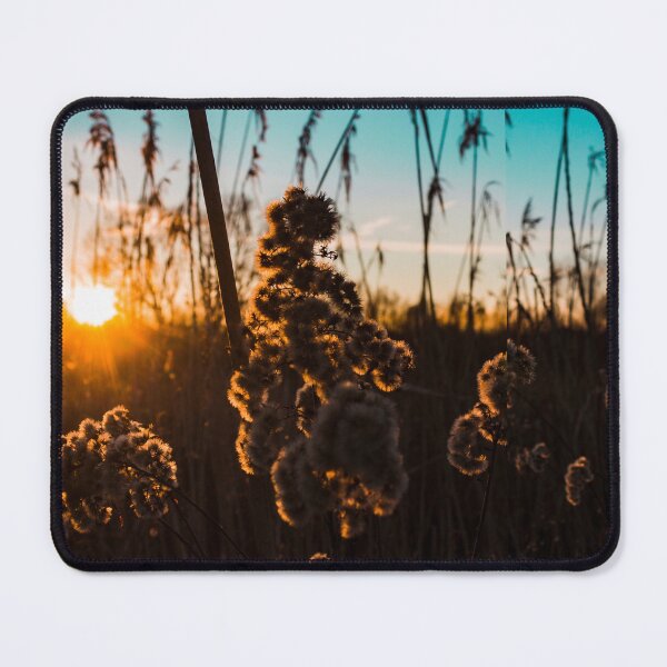 Item preview, Wildlife, travel, sky, summer, nature  designed and sold by Lessonsprint.