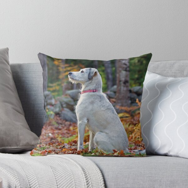 Item preview, Emma - My Friend & Companion designed and sold by T.J. Martin.