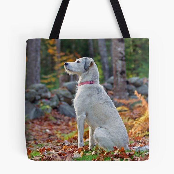 Item preview, Emma - My Friend & Companion designed and sold by T.J. Martin.