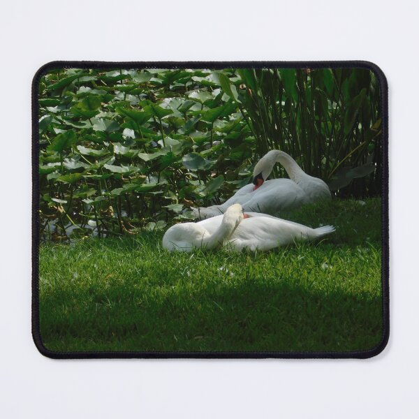 Item preview, Afternoon Nap designed and sold by RenAQR.