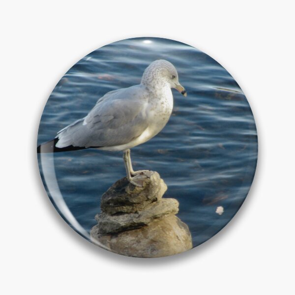 Aperçu de l'œuvre Mouette créée et vendue par Shulie1.