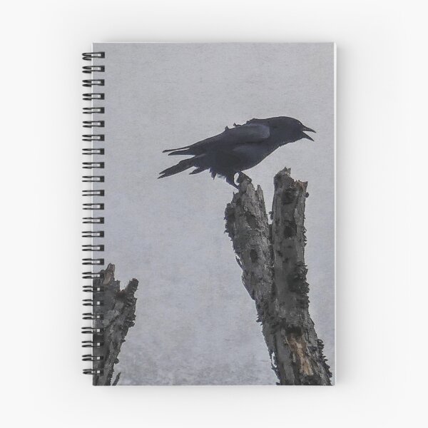 Item preview, Crow designed and sold by Frankie Cat Photography.