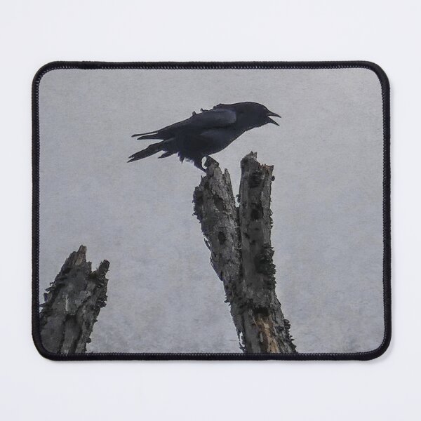 Item preview, Crow designed and sold by Frankie Cat Photography.