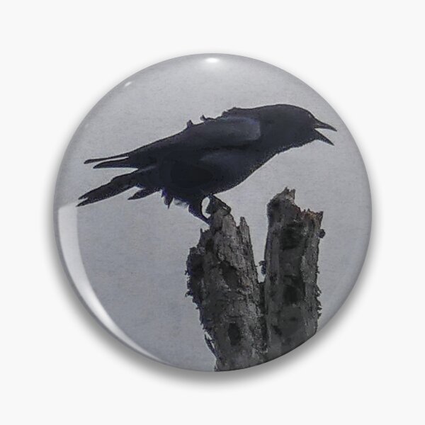 Item preview, Crow designed and sold by Frankie Cat Photography.