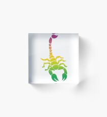 Colorful Scorpion Acrylic Block