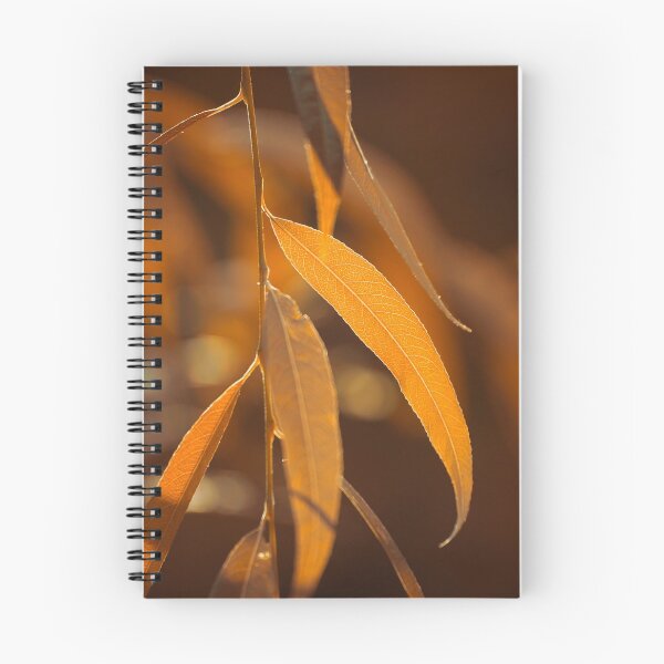 Item preview, Autumn Leaves designed and sold by cinema4design.