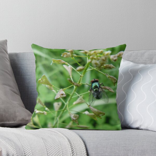 Item preview, Blowfly resting designed and sold by elsha.