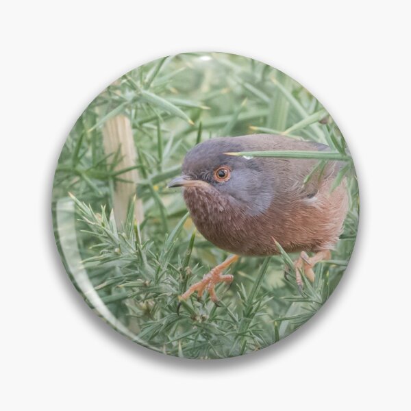 Item preview, Dartford Warbler designed and sold by LaurenTucker.