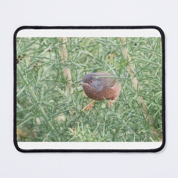 Item preview, Dartford Warbler designed and sold by LaurenTucker.